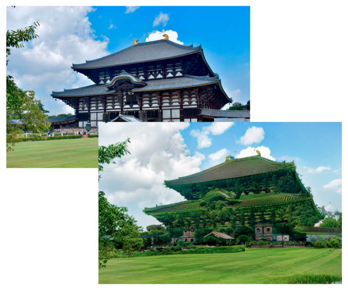 奈良のお寺の画像にアマゾンっぽいプリセットを選択した場合