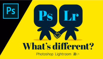 PhotoshopとLightroomは何が違う？基本機能とただしい使い所を紹介
